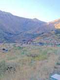 عسل ارگانیک. عسل طبیعی - عسل چهل گیاه