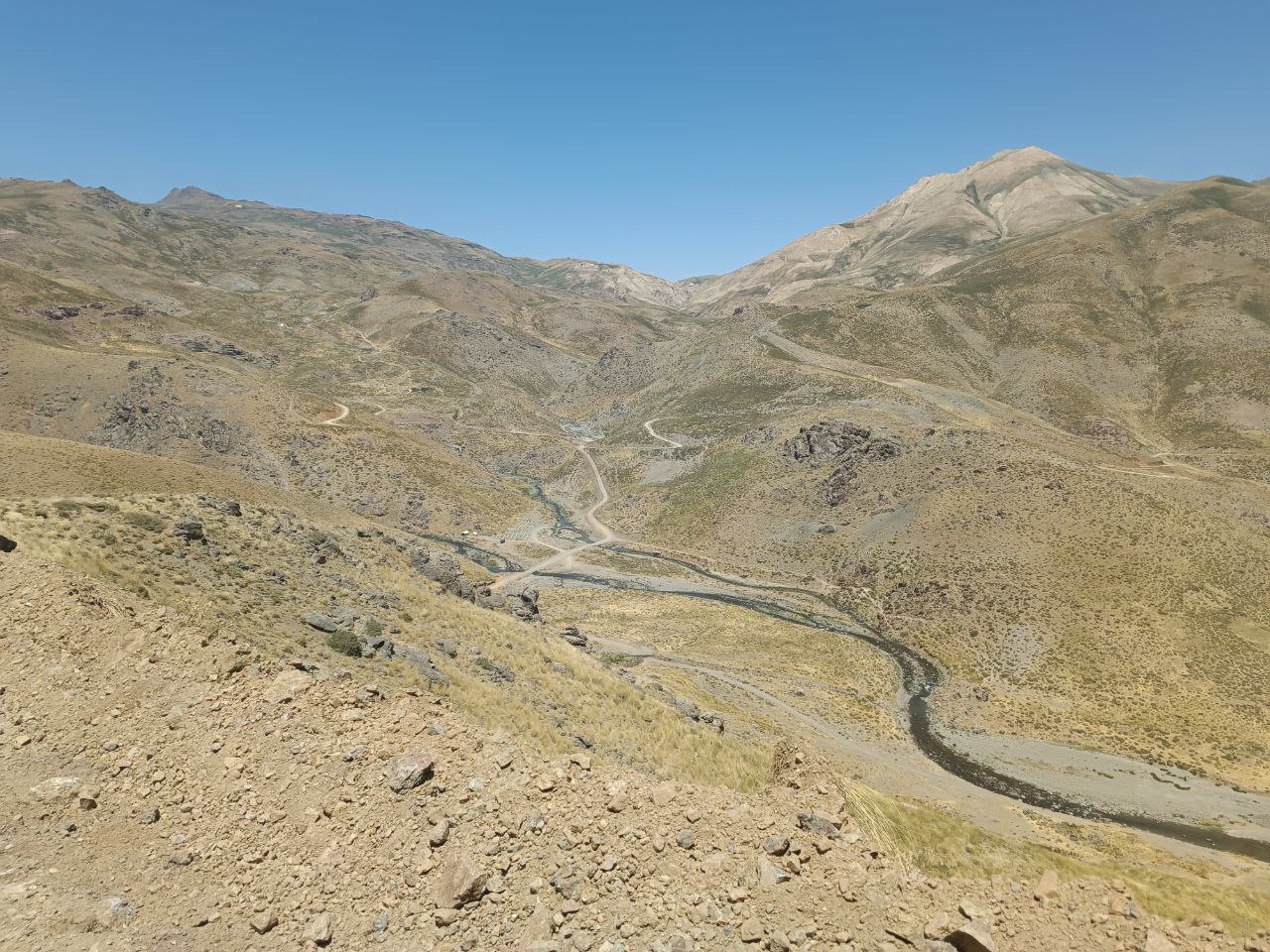 عسل ارگانیک. عسل طبیعی - عسل گون