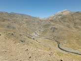 عسل ارگانیک. عسل طبیعی - عسل گون