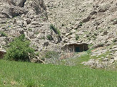 عسل وحشی، عسل خاص، عسل کمیاب. ارگانیک